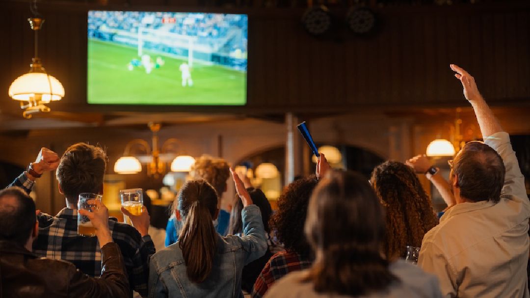 images/fans_in_bar_watching_game.jpg