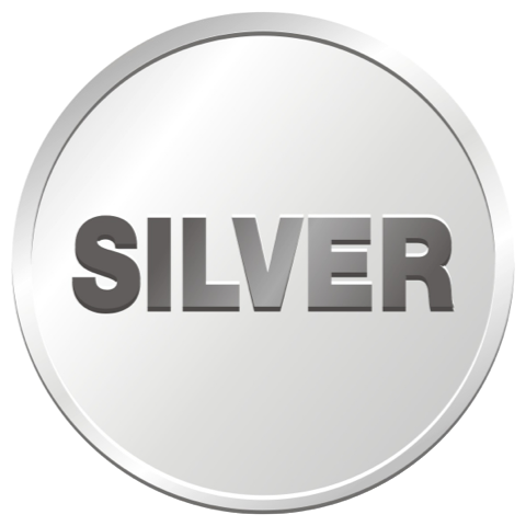 Silver - World Cup 2026